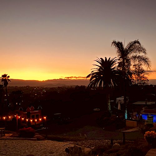 A stunning sunset view features silhouetted palm trees, string lights, and a lit pool area, creating a serene and inviting ambiance.